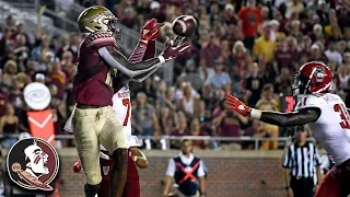 FSU's Tamorrion Terry Catches 2 Touchdowns Against NC State