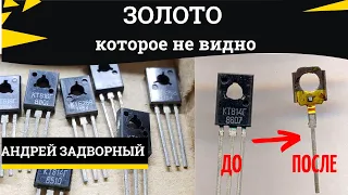 Получаем золото из транзисторов КТ814 КТ815 и им подобным. Аффинаж золота.