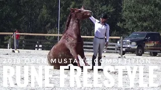 Mustang Freestyle: Rune at the 2018 Mustang Open