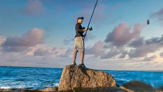 when the bait hits the jetty just right - amazing things happen