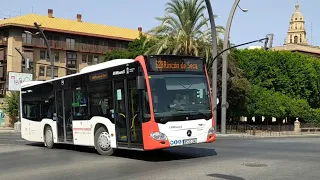 Circulación por la ciudad de Murcia autobuses TMP BUS Monbus y Movibus Alsa - (Murcia)