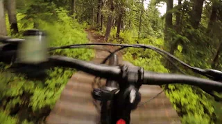 Lichen it to Lovin it Hardtail Stevens Pass Bike Park Raw