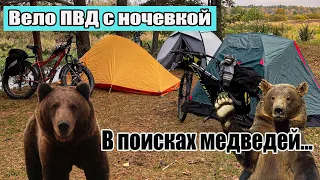 Вело ПВД с ночевкой. В поисках медведей.