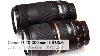 Canon EF 70-300 mm IS II USM | Test und Vergleich mit dem Tamron SP 70-300 mm [Deutsch]