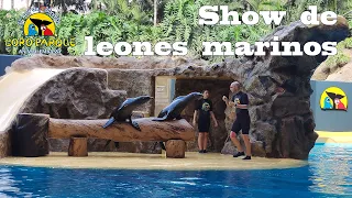 Тенерифе, Лоро Парк, Шоу морских львов  |  Tenerife, Loro Park, Sea Lion Show