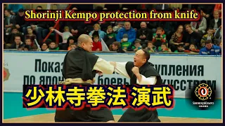 Shorinji Kempo techniques, protection from a knife, paired embu. 少林寺拳法 演武  少林寺拳法 技