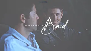 Are We Falling In Love | Dean & Cas (+AngelicWings)