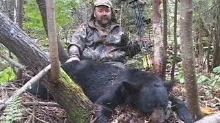 Bear Bow hunt in Ontario Canada BOW HUNTING BEAR ... GREAT SHOT Placement POV