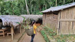 OFF GRID LIVING:  How to knit a basket from bamboo? live in my bamboo house off the grid  |  Ep.49