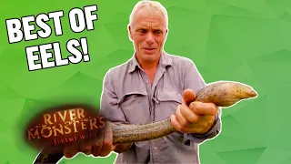 The Best of EELS! | COMPILATION | River Monsters