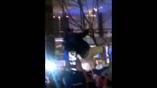 Maple Leafs fan climbs a tree at Leafs square.