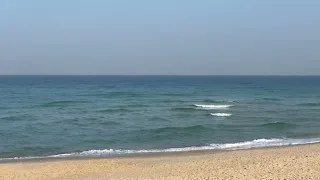 23.5.24 גלים לסופ״ש - מצב הים חמישי בוקר תחזית Israel Surf Report