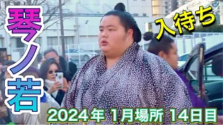 入待ち 琴ノ若 熱海富士 翔猿 大栄翔 湘南乃海 ほか【大相撲令和6年1月場所】 14日目  2023/1/27  [Sumo] DAY14 Jan 2024 現地観戦 初場所