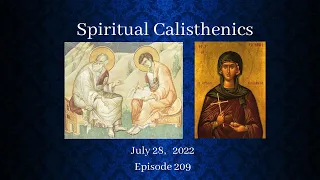 07-28-2022 - Spiritual Calisthenics - Daily Readings with Fr. Dimitri - Episode 209