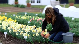 Spring Blooms in the Cut Flower Garden + Free Flower Bouquet Delivery! 💐✂️🌷 // Garden Answer