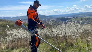 Destroying bushes with Stihl Fs 561-C with 350 mm brush knife.