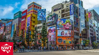 【4K HDR】Walking In Tokyo Akihabara May, 2021