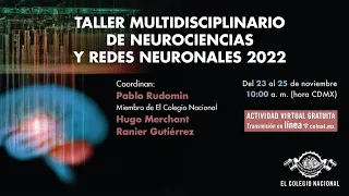 Taller multidisciplinario de neurociencias y redes neuronales 2022 | Día 2