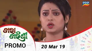 Tara Tarini | 20 March 19 | Promo | Odia Serial – TarangTV