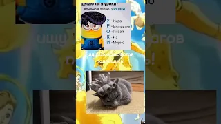 ДжоДжо мемчики №324 #tiktok #аниме #jojo #джоджо #джоджомемы #meme #тикток #мемы #mem #рек #shorts