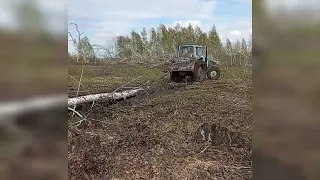 РАБОТА В ЛЕСУ НА МТЗ 80.