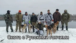 Охота с Русскими гончими.