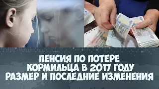 Пенсия по потере кормильца в 2017 году размер и последние изменения, кому положена, документы