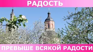 Радость превыше всякой радости.Священник Игорь Сильченков