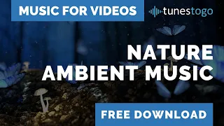 Calm and Inspiring Nature Background Music for Videos | Free Download