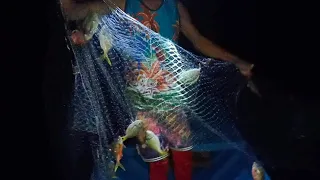 NET FISHING naka jackpot  na Naman Kami MGA tangay NAPARAMI ANG KUHA namin #buhayprobinsya