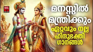 Sreekrishnan Devotional Songs Malayalam |  Hindu Devotional Songs Malayalam