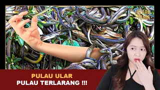 PULAU ULAR, PULAU TERLARANG !!! | Alur Cerita Film oleh Klara Tania