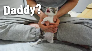 The Rescued Kitten Always Cries When She Sees Me, She has a lot to say