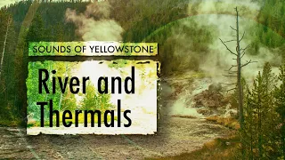 Bridge Near Monument Geyser Basin Trailhead — ASMR, Sleep, Concentration (Sounds of Yellowstone)