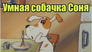 Умная собачка Соня