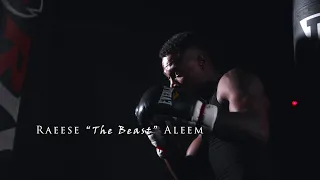 Raeese Aleem's Journey