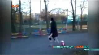 У Харкові побили жінку, котра зняла на відео, як вигулюють собак на шкільному подвір'ї