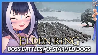 ShyLily Reacts to: Elden Ring - Can ANY Boss Survive 50 Starved Dogs?