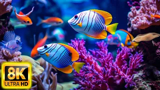 Colors Of The Ocean 8K ULTRA HD - The best sea animals for relaxing and soothing music #13