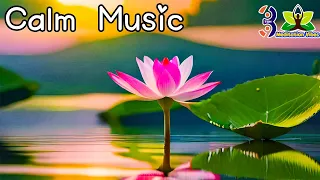 Beautiful Relaxing Music - Stop Overthinking, Stress Relief Music, Sleep Music, Calming Music #62