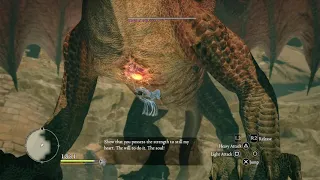 Dragon's Dogma: Dark Arisen Grigori Solo Warrior Kill