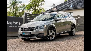 Skoda Octavia Scout 184KM SalonPL 1WŁ  PoRozrządzie Navi Grz.Kier. ASO VAT