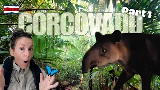 CORCOVADO | Hiking in Costa Rica's wildest jungle | PART 1
