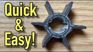 Mercury 2.5 Small Outboard Motor Impeller Replacement