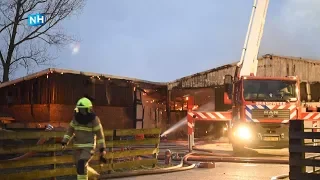 Ruim zestig kalveren dood bij uitslaande brand in stal Zwaagdijk