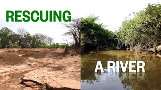 We are bringing back a river with trees — here's how