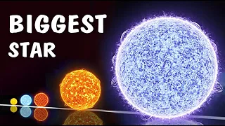 UNIVERSE SIZE COMPARISON  TV 2023  ☀️