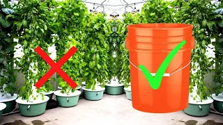 CHEAP & EASY DIY Garden Tower Backyard Hydroponics!