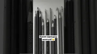 говорят, только НАСТОЯЩИЕ ХУДОЖНИКИ проходят этот тест😁🎨Цветные карандаши ✏️