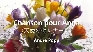 Chanson pour Anna by André Popp | Fingerstyle Guitar Solo played by Shun Doi